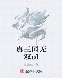 真三国无双oL手游